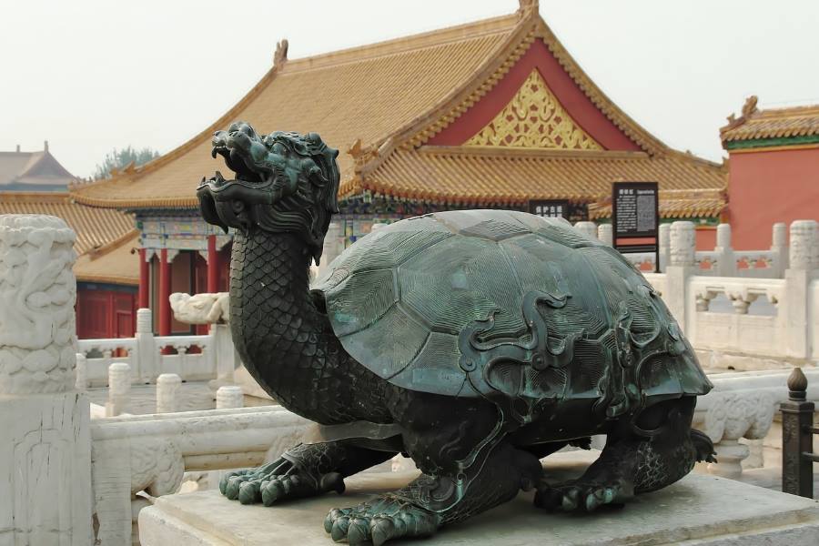 China-BIP im Fokus der Schildkröte